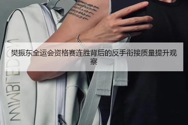 樊振东全运会资格赛连胜背后的反手衔接质量提升观察